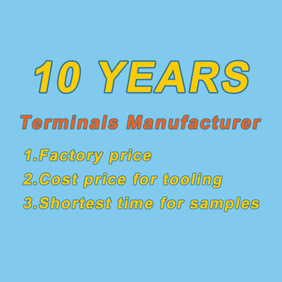 Brass Motor Auto Spade Crimp Electrical Terminales Flat Spade Connector Chain Pin Male Car Terminal
